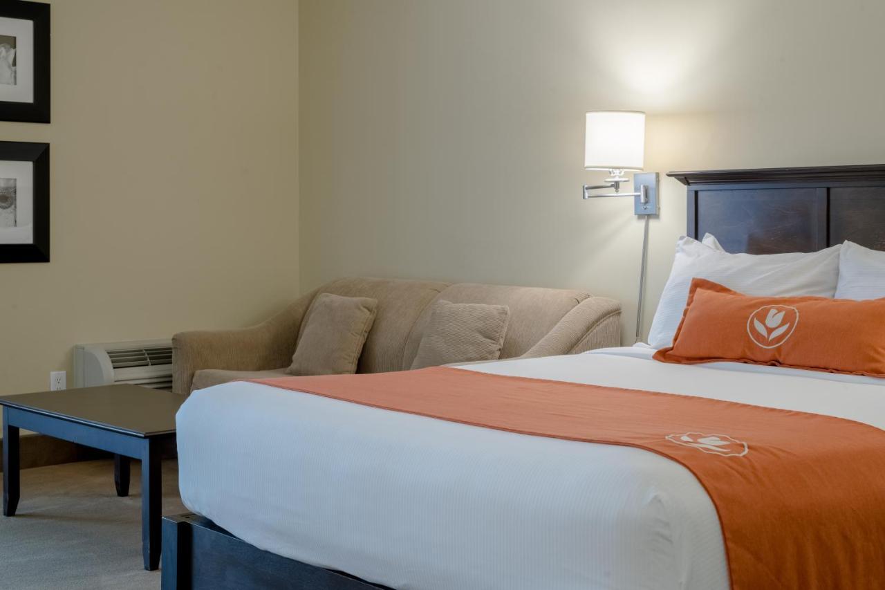 Amsterdam Inn & Suites 서식스 외부 사진