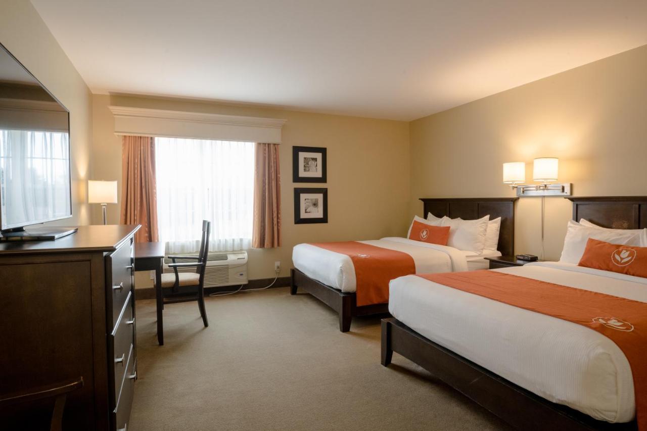 Amsterdam Inn & Suites 서식스 외부 사진